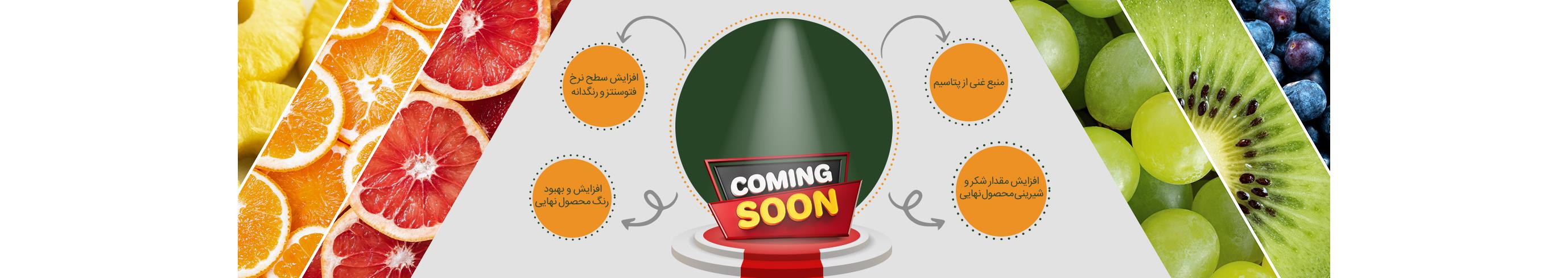 coming-soon